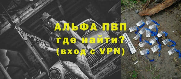 гашик Балахна