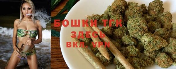 гашик Балахна